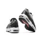 Nike Air Max 95 Light Iron Ore Black Nike Air Max 95 Light Iron Ore Black