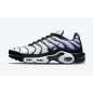 Nike Air Max Plus TN Persian Violet Nike Air Max Plus TN Persian Violet
