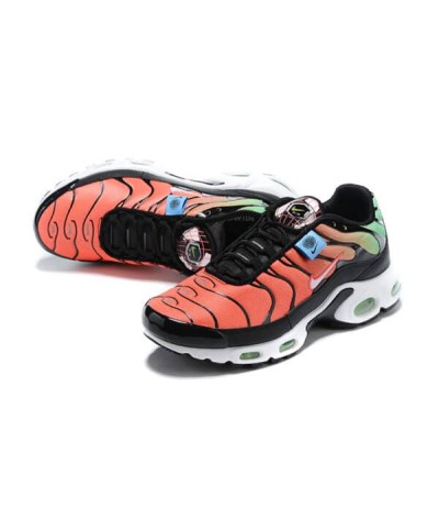 Nike Air Max Plus TN Multicolor