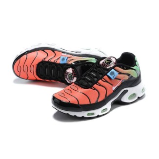 Nike Air Max Plus TN Multicolor