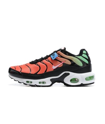 Nike Air Max Plus TN Multicolor