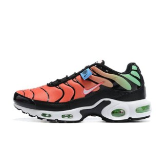 Nike Air Max Plus TN Multicolor