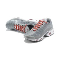 Nike Air Max Plus TN Grey White
