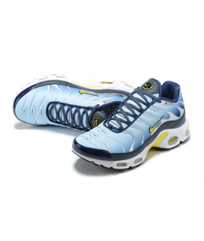 Nike Air Max Plus TN 21 Blue Silver