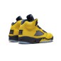 Nike Air Jordan 5 Retro Michigan