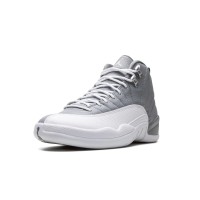 Nike Air Jordan 12 Stealth