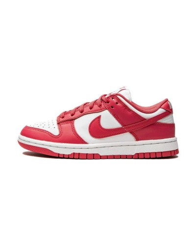 Nike SB Dunk Low Archeo Pink