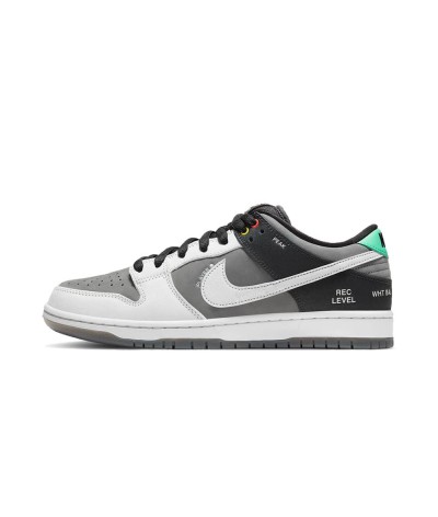 Nike SB Dunk Low VX1000 Camcorder