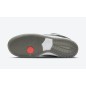 Nike SB Dunk Low VX1000 Camcorder