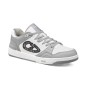 Dior B57 Grey