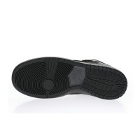 Nike SB Dunk High Ballistic