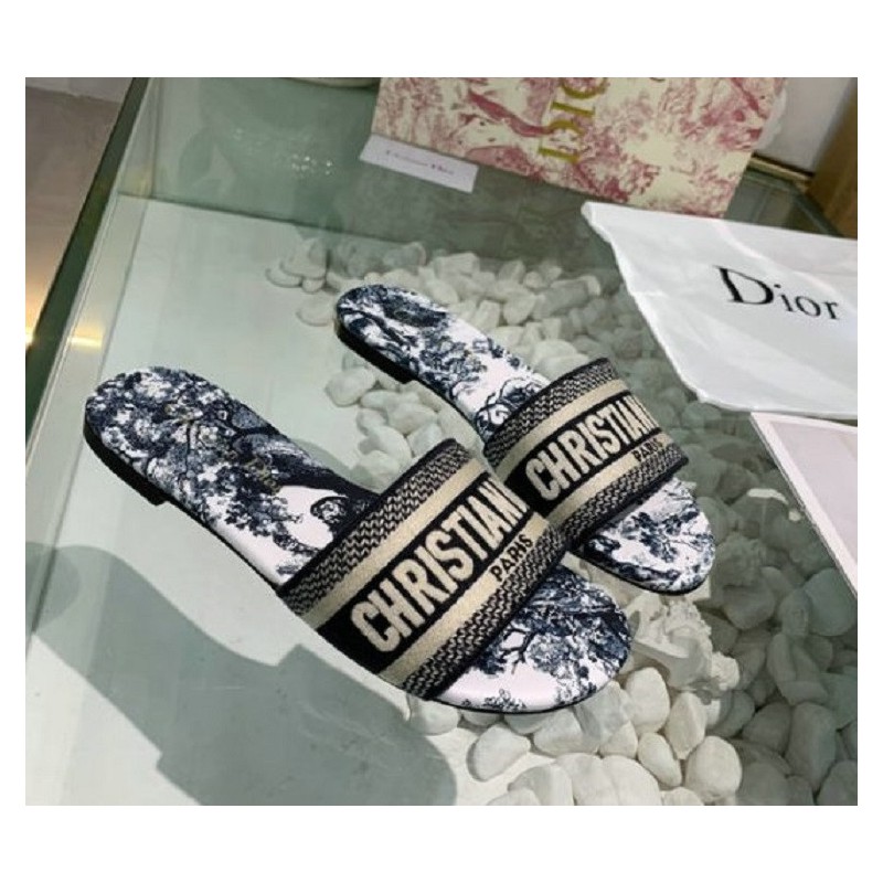 Dior Mule Dway Blue