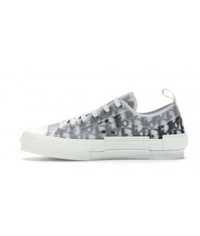 Dior Oblique B23 Grey