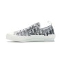 Dior Oblique B23 Grey