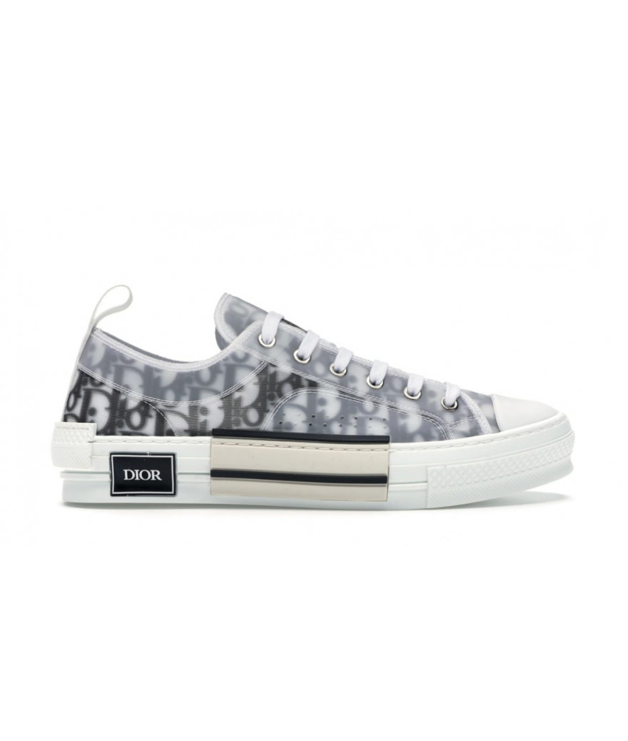 Dior Oblique B23 Grey