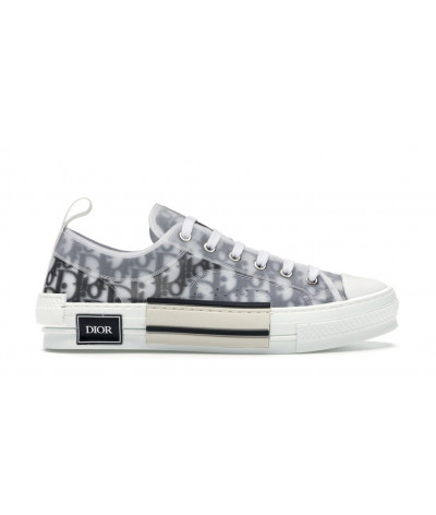 Dior Oblique B23 Grey