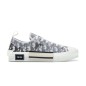 Dior Oblique B23 Grey