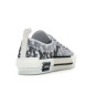 Dior Oblique B23 Grey