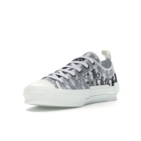 Dior Oblique B23 Grey
