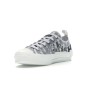 Dior Oblique B23 Grey