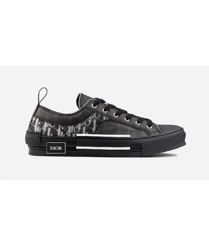 Dior Oblique B23 Grey