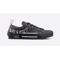 Dior Oblique B23 Grey