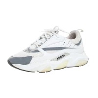 Dior B22 White Reflective
