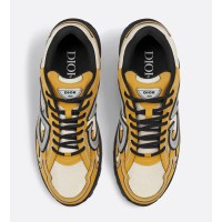 Dior B30 Brown Yellow Grey