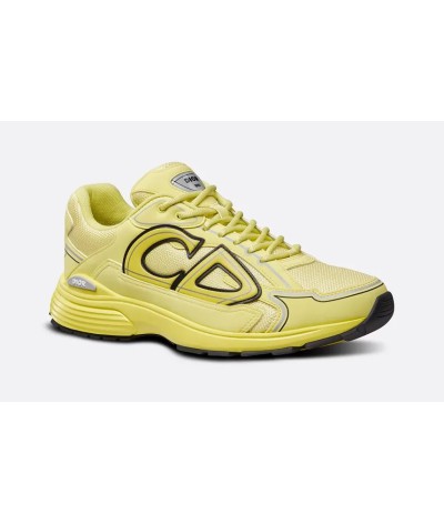 Dior B30 Brown Yellow