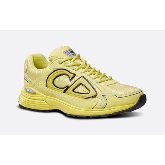 Dior B30 Brown Yellow