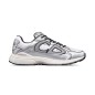 Dior B30 Silver